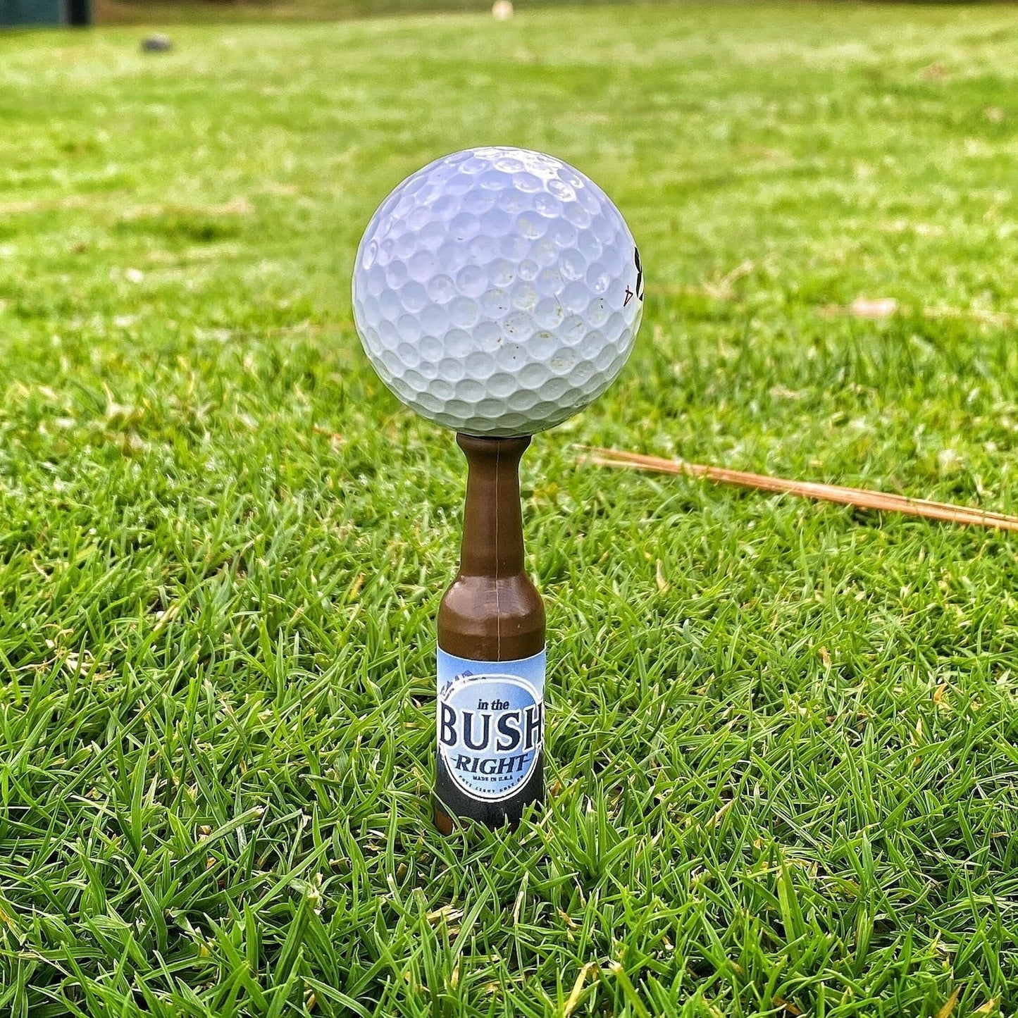 🔥PROMOTION-47% OFF🏑Mini Beer Bottle Golf Tees⛳